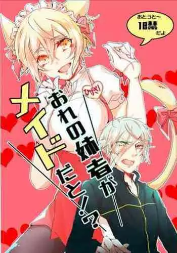 Ore no Aneja ga Maid da to!? + Sailor Fuku no Aneja to Sukebe suru Hon