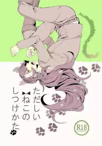 [ONE BY ONE (Ruika)] Tadashii ne Kono Shitsuke Kata (Ace Attorney) [Digital]