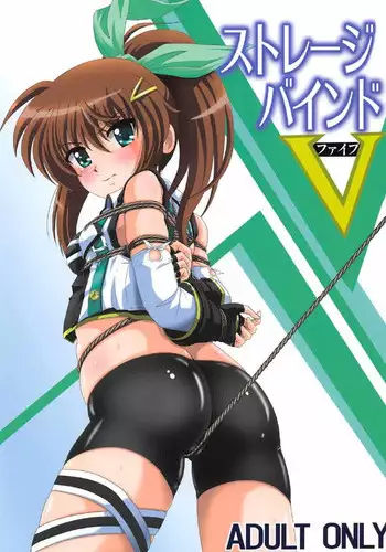 (C91) [Thirty Saver Street (Maki Hideto, Sawara Kazumitsu)] Storage Bind 5 (Mahou Shoujo Lyrical Nanoha)